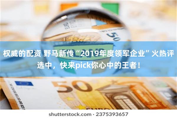 权威的配资 野马新传“2019年度领军企业”火热评选中，快来pick你心中的王者！