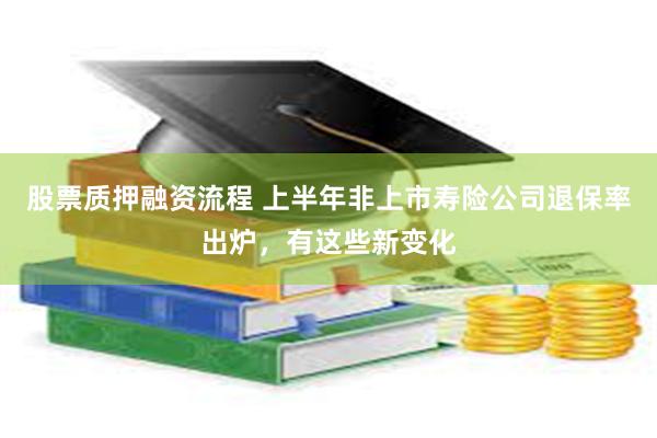 股票质押融资流程 上半年非上市寿险公司退保率出炉，有这些新变化