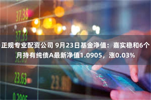 正规专业配资公司 9月23日基金净值：嘉实稳和6个月持有纯债A最新净值1.0905，涨0.03%