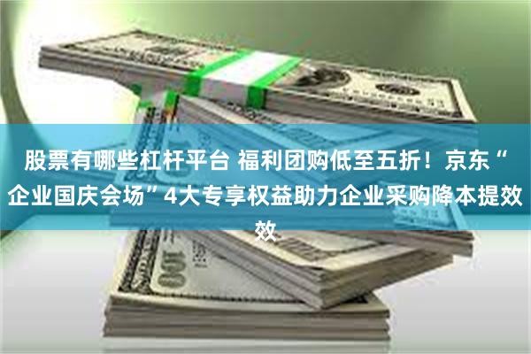 股票有哪些杠杆平台 福利团购低至五折！京东“企业国庆会场”4大专享权益助力企业采购降本提效