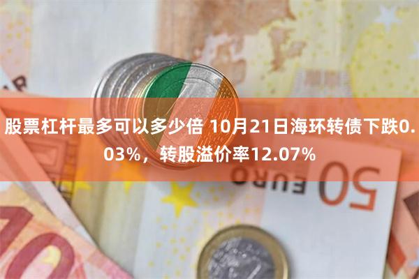 股票杠杆最多可以多少倍 10月21日海环转债下跌0.03%，转股溢价率12.07%