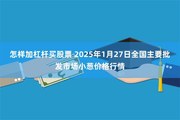 怎样加杠杆买股票 2025年1月27日全国主要批发市场小葱价格行情