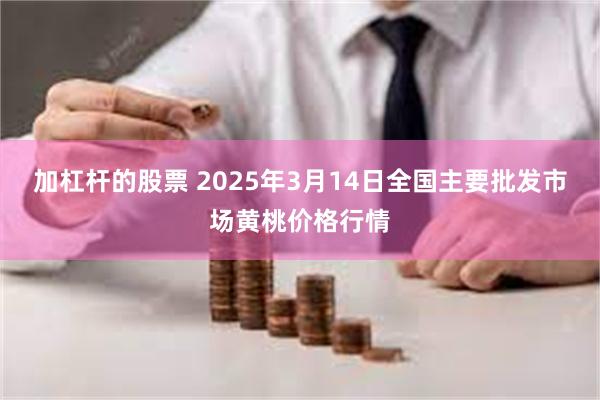 加杠杆的股票 2025年3月14日全国主要批发市场黄桃价格行情